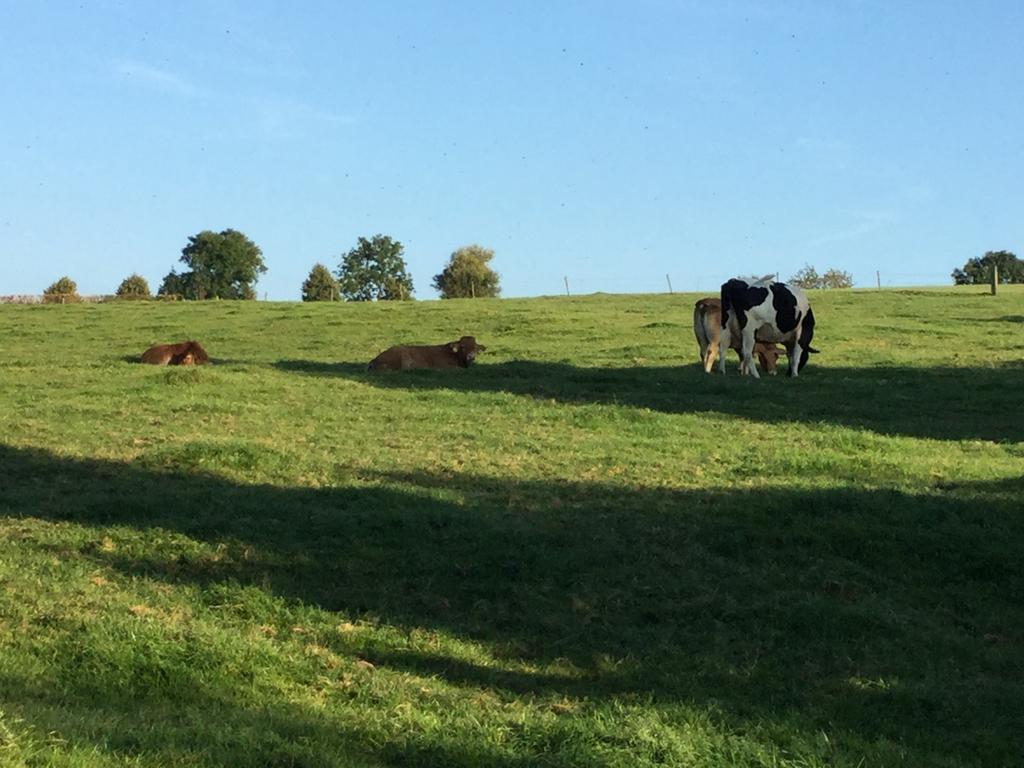 Vakantiewoning Kleijnen Noorbeek Exteriér fotografie